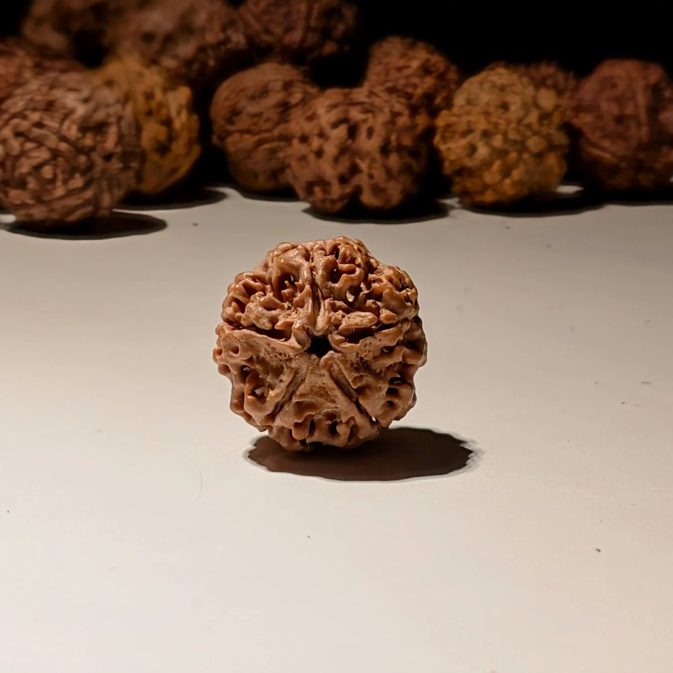 Rudraksha from the Rudraksha Kavach catalogue